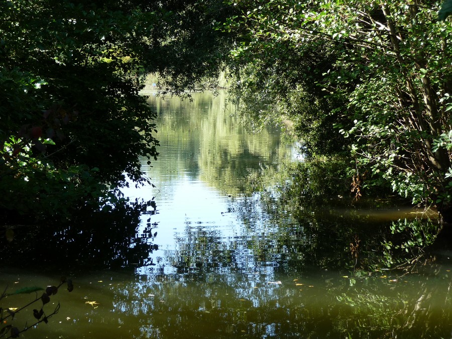 Bain de nature, on y retourne ...