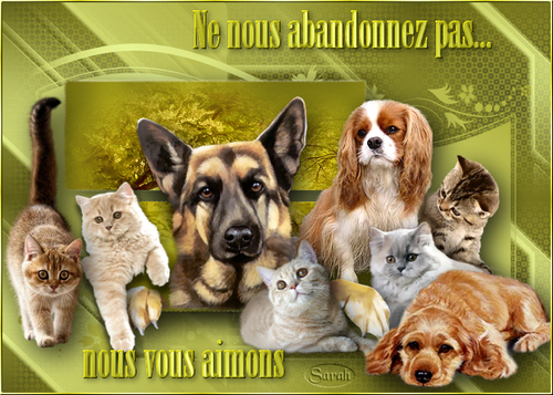 Ne m'abandonnez pas.....