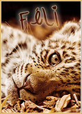 Féli