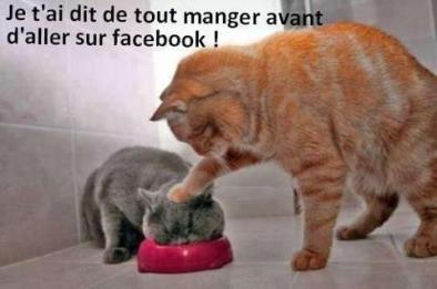 ChatFacebook ChatFacebook