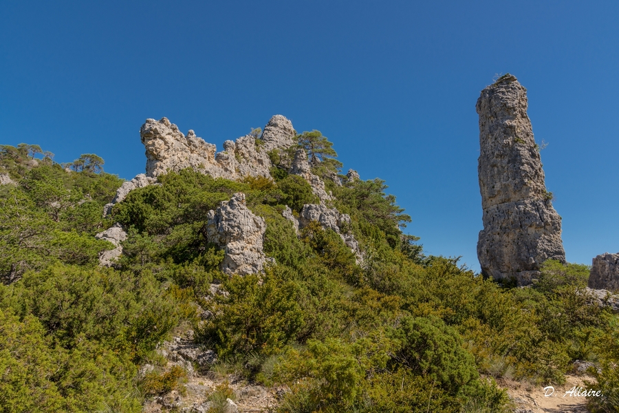 Larzac & C°.