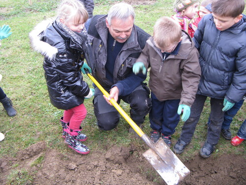 Plantation d'arbres dans le verger municipal