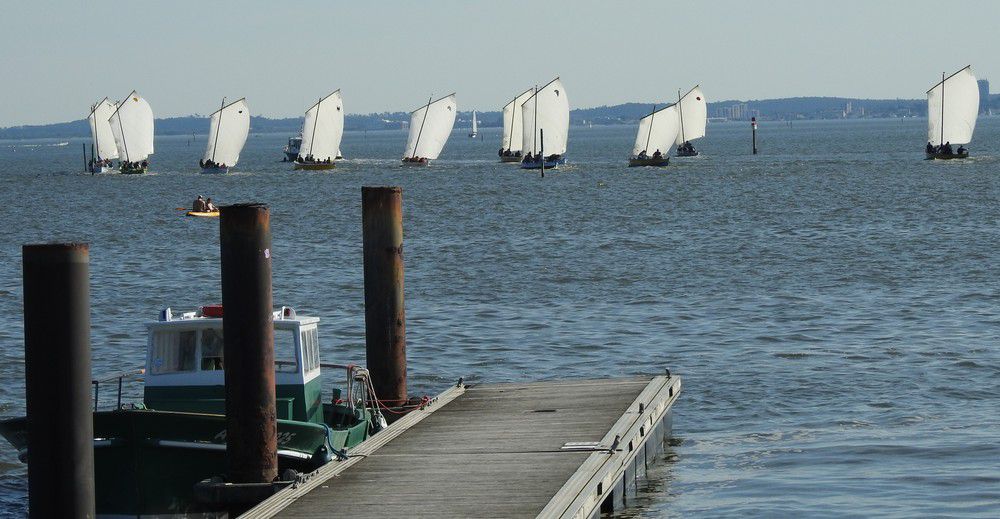 Voiles en liberté 2024 à Andernos - Le départ des pinassottes...