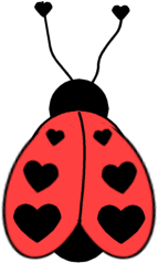 Coccinelles