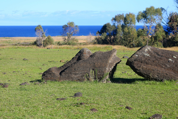 Rano Raraku, la carrière des moaïs