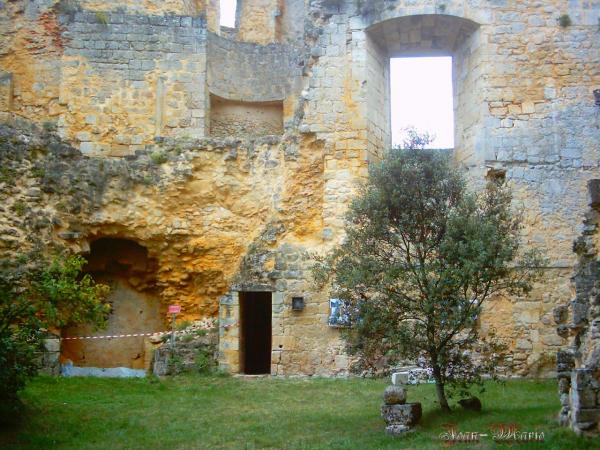 le château des Benauges (arbis) gironde
