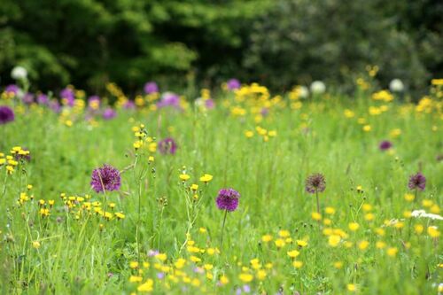 La Fête de Jardin et Loisirs à Chevetogne - 2019