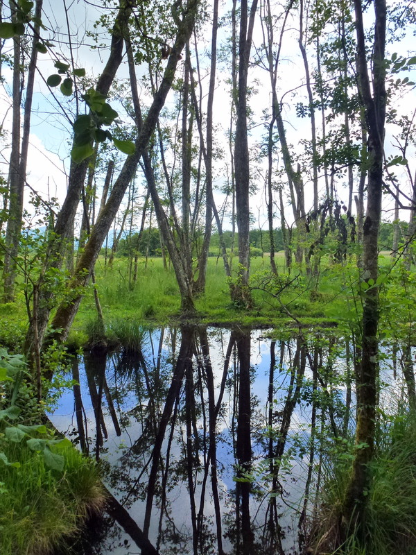 Lavours...reflets !