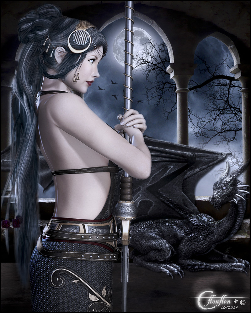 Dragon de nuit