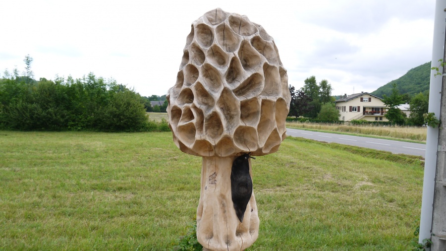 Sculptures sur bois à Moulis (09)