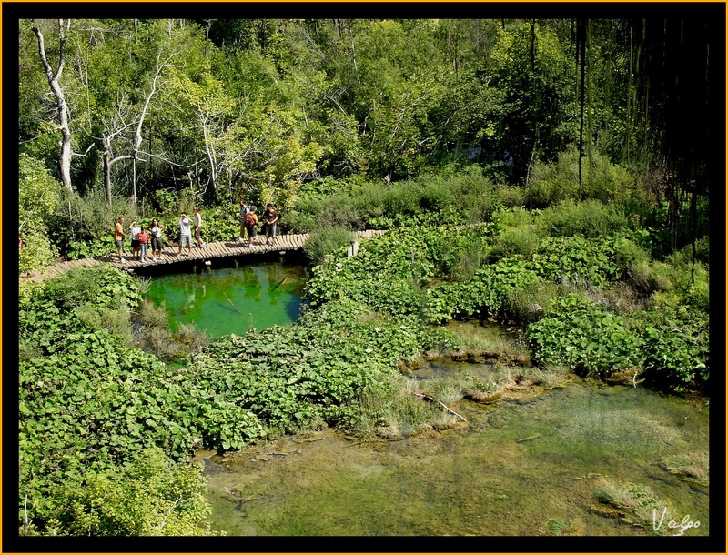 Croatie : lac de Plevitcee (1)