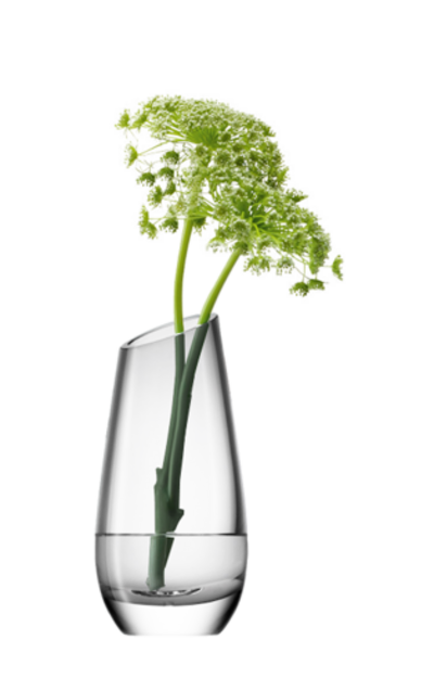 Fleurs dans vase