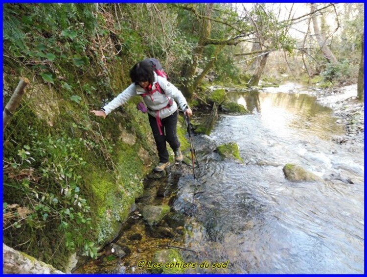 Gorges du Caramy, des grottes