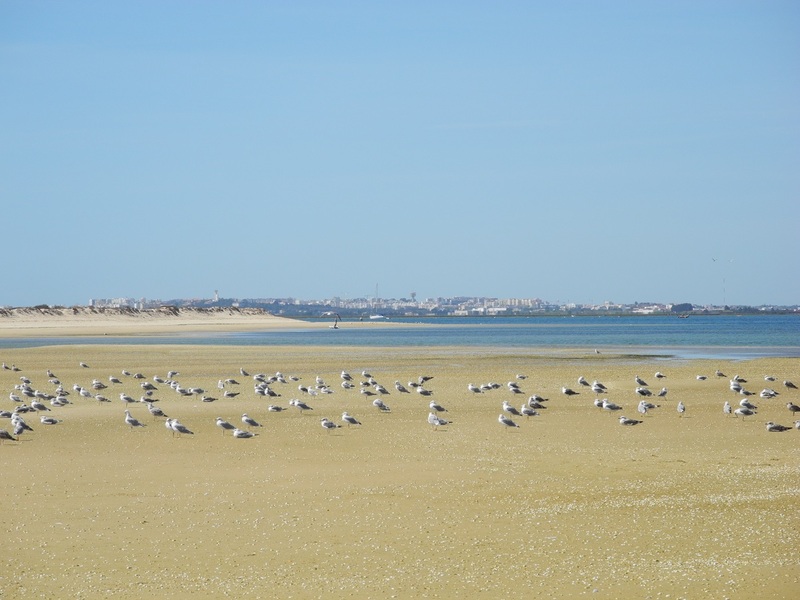 Andalousie P2 et Algarve - septembre 2019