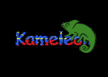 Kameleon : ils lancent une marque de box peï