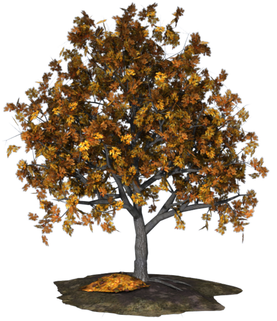 Image d'arbre aux feuilles d'automne fantasy
