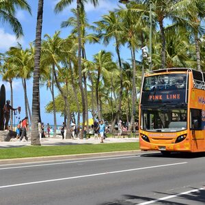 story life trams waikiki beach 