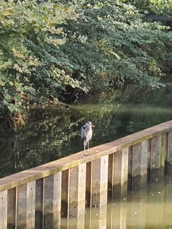 du coté des bords de marne ... un dimanche au bord de l'eau tralalala .... 