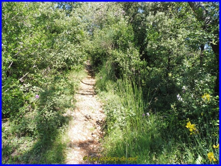 Rougiers : le Castrum St Jean et la fontaine de Guillandière