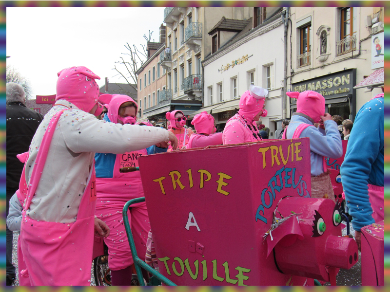 71100 Chalon sur Saône  Carnaval 2016