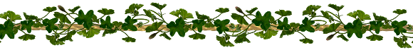 Ỉℓ у α тσυנσυяѕ..