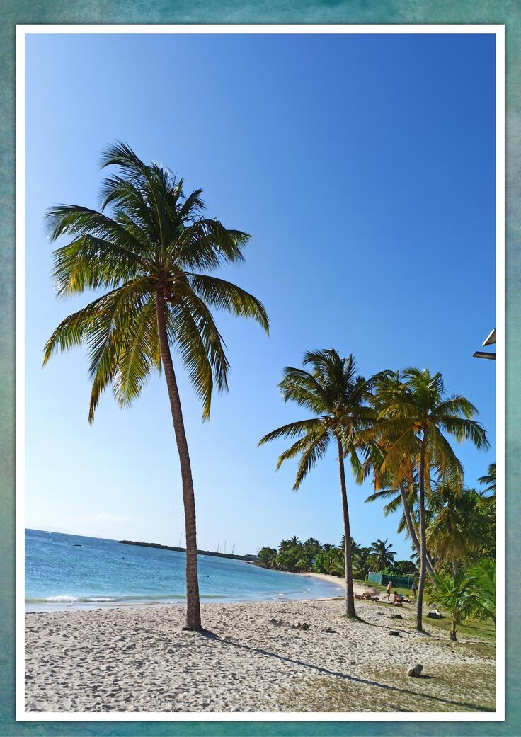 Guadeloupe - Grande-Terre - Plage ste Anne - Cimetière - Pointe des châteaux