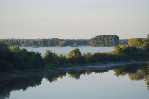 Brume matinale