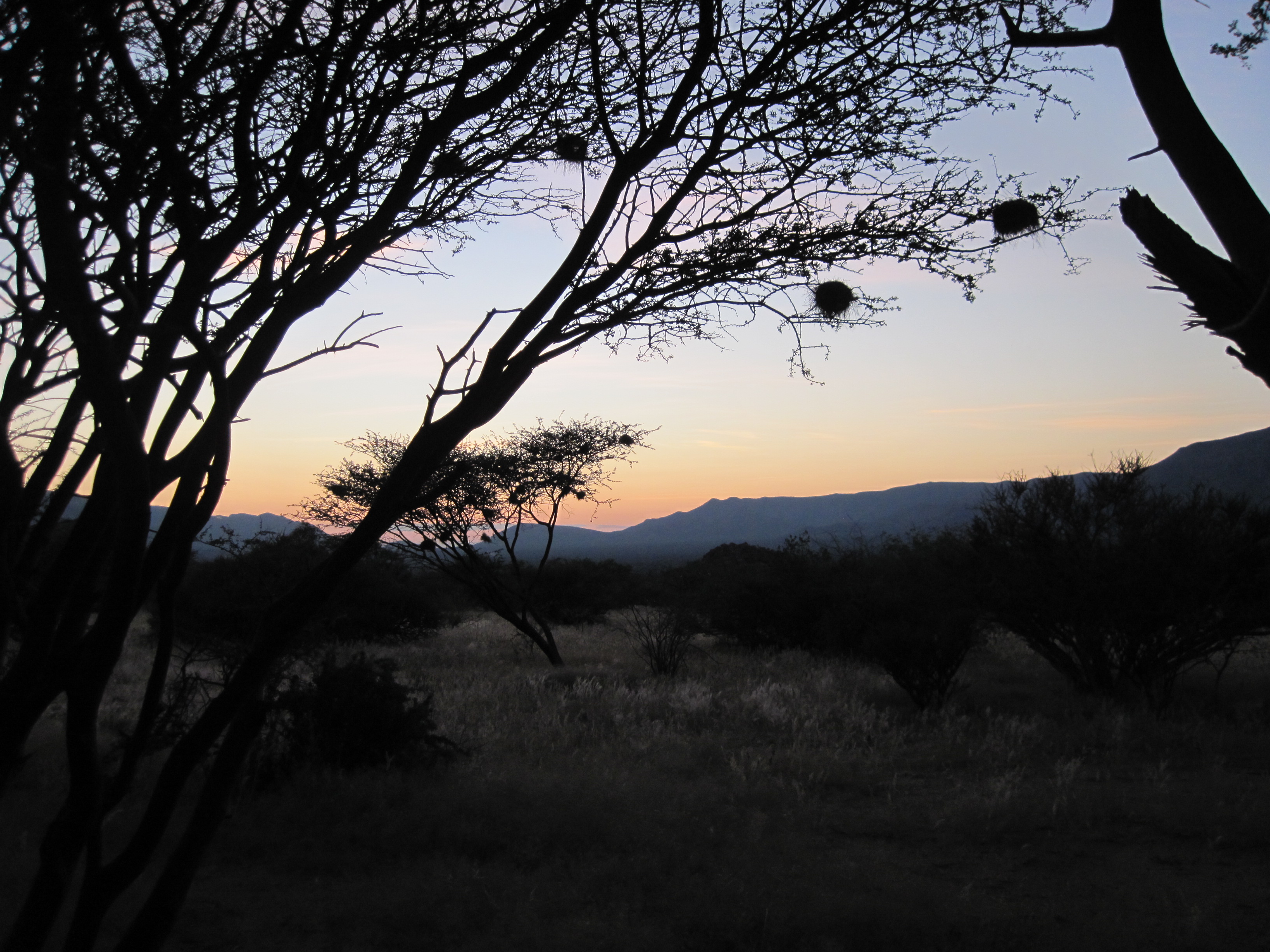 Omandumba Bush Camp