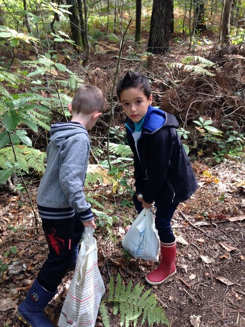 SORTIE EN FORET - MARDI 10 OCTOBRE 2017