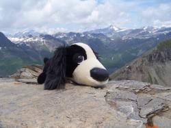 mascotte en montagne