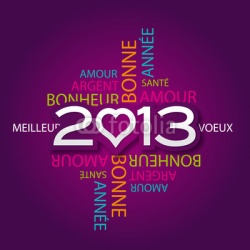 Bonne Année 2013 !