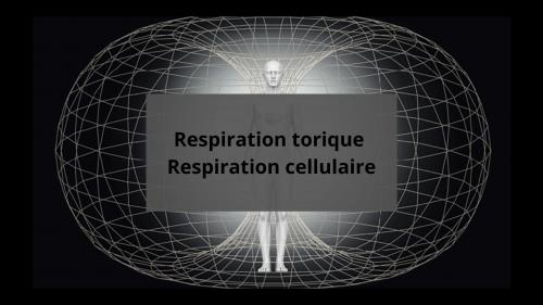 Respiration torique (RES) / Respiration cellulaire