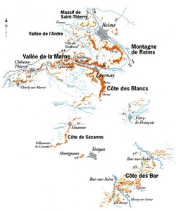 Champagnes Rosés