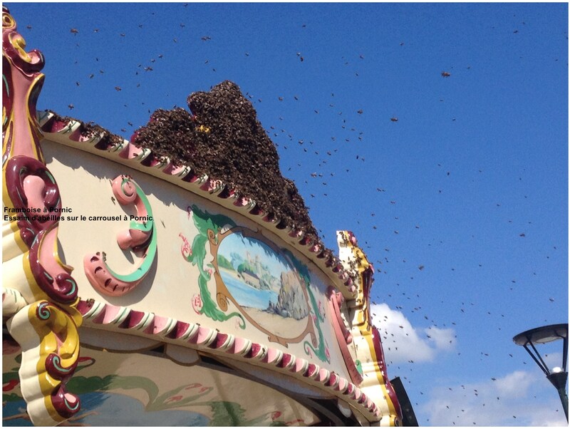 Les abeilles s'invitent pour un tour de carrousel à Pornic