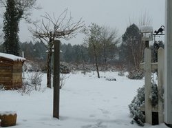 Monjardindansleslandes sous la neige