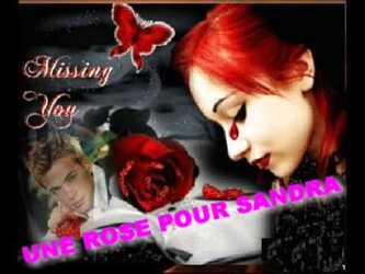 Une rose pour sandra