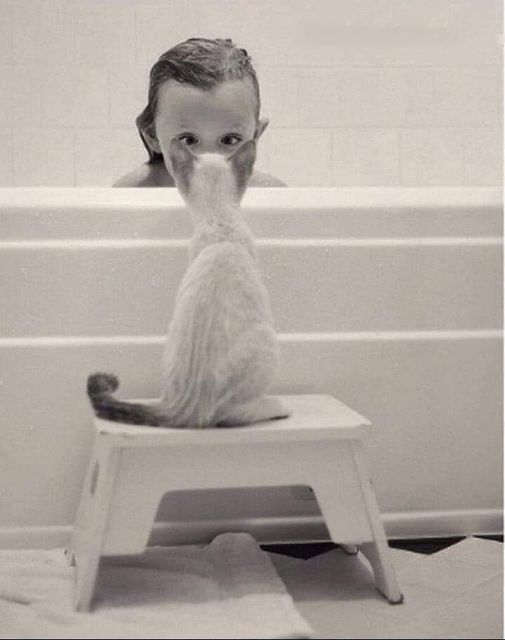 Peut être une image en noir et blanc de 1 personne, enfant et chat ragdoll