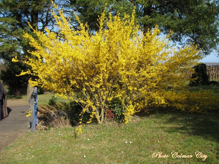 Printemps au parc