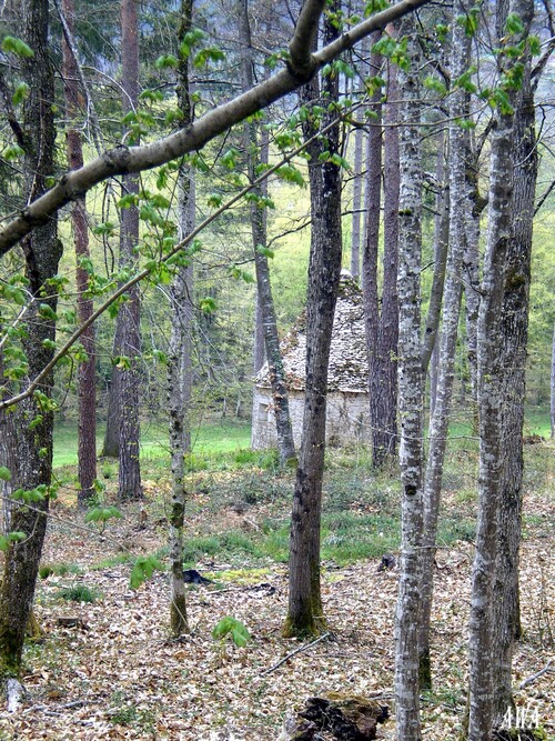 Chateau inconnu en Dordogne,sur le roure de Marsac