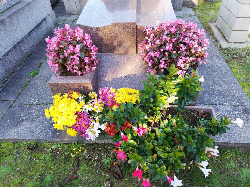 cimetière condé ou repose papa, la tante lily, et mon arrière gd père Jean