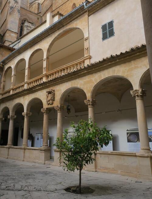 Le cloître de la Cathédrale à Palma de Majorque