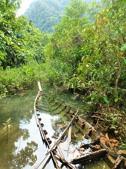 épave de barque