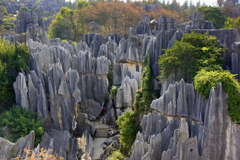 Stone Forest, Chine