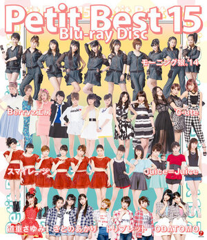 Covers du Petit Best 15