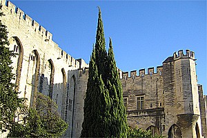 avignon 2