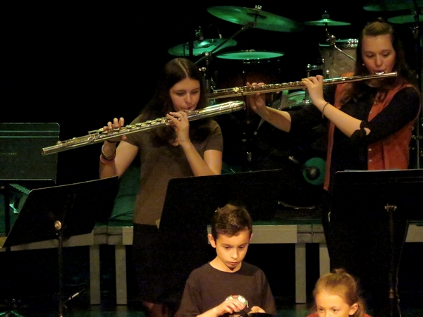 Le concert de l'Ecole Municipale de Musique (AMM) a eu un grand succès !
