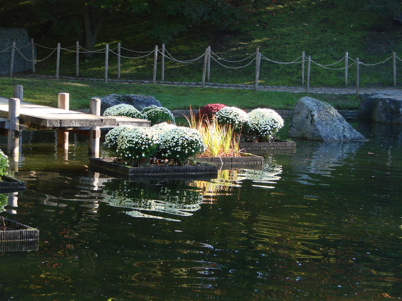 Limbourg : le jardin japonais d'Hasselt