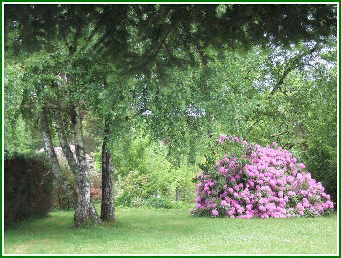 Fleurs...toujours...