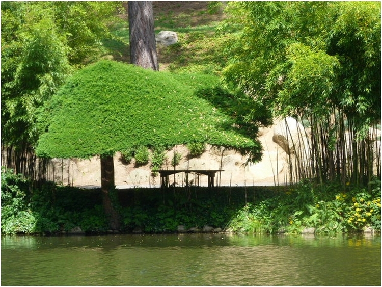 Ambiance zen à Maulevrier  (2)