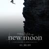 New-Moon-Poster-twilight-series-5116848-375-500.jpg